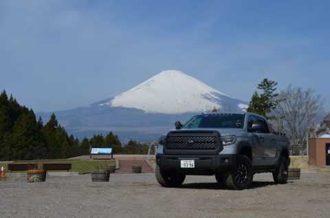 flexdream仙台東店　デモカー・タンドラが富士サファリパークに！！！🐘🐻🐯